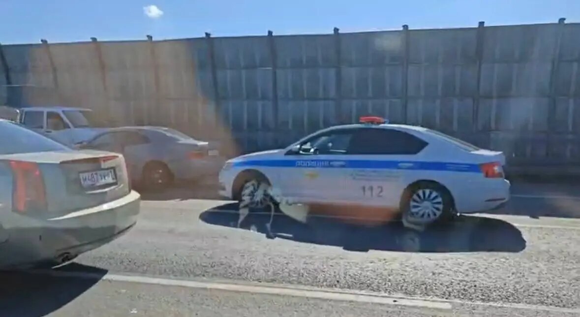    Фото: скриншот из видео телеграм-канала Мегаполис | ДТП и ЧП | Санкт-Петербург | Питер / Телеграм