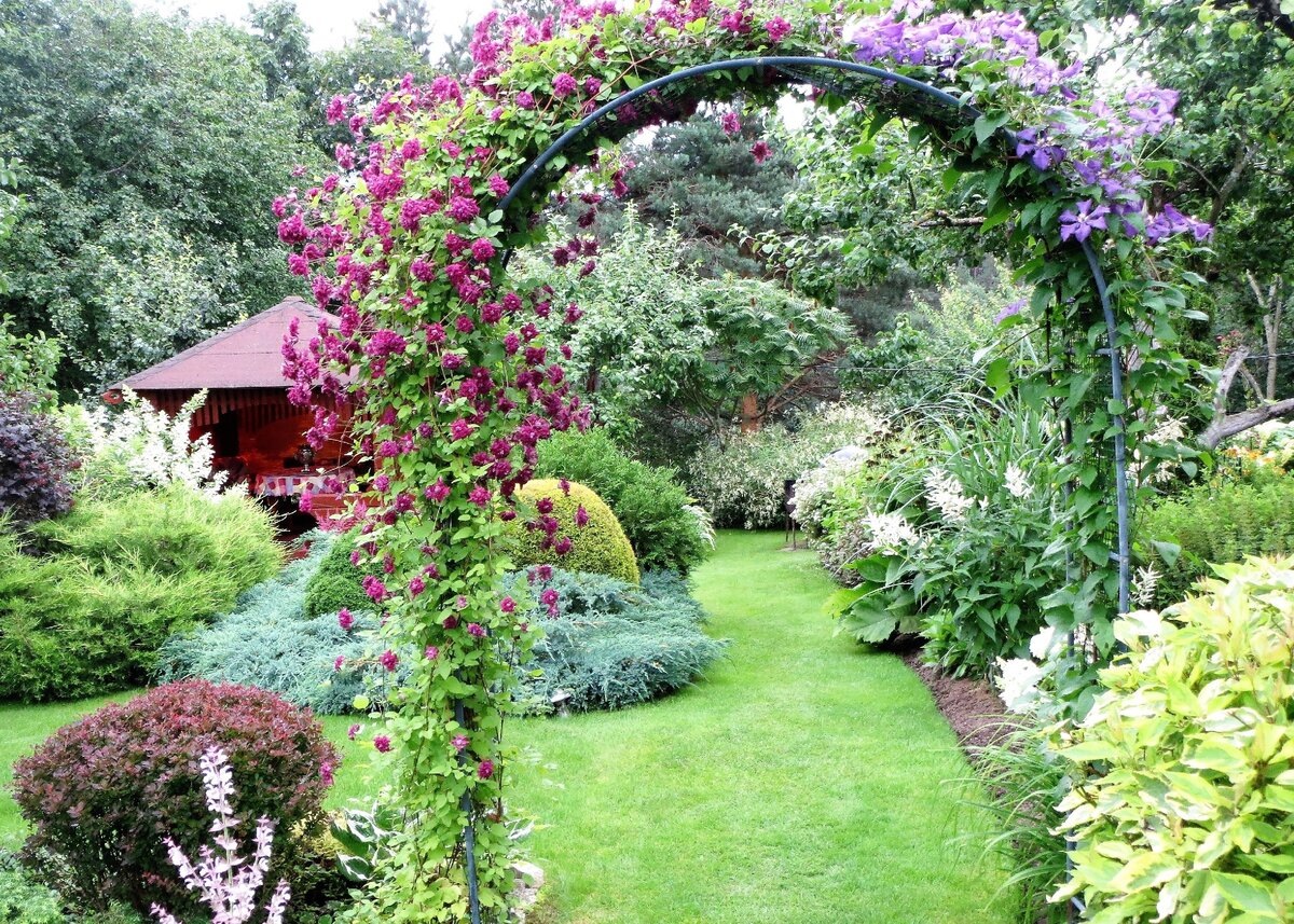 Сад Тамары Шпилиной в Псковской области: важный анонс в конце статьи