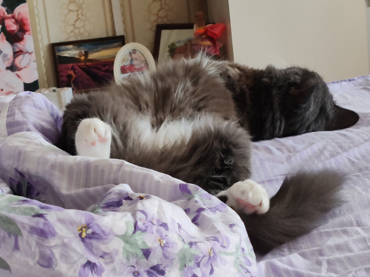 Фото автора канала. 