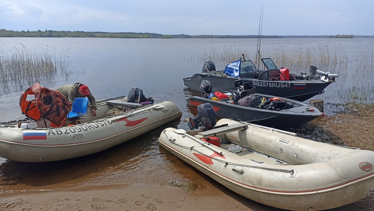 Вот он, старичок "Баджер" на переднем плане, впрочем, и вторая ПВХшка на этом фото, тоже старенький "Баджер", только чуть большего размера. И вполне живые лодки, благо всю жизнь прожили в одних руках