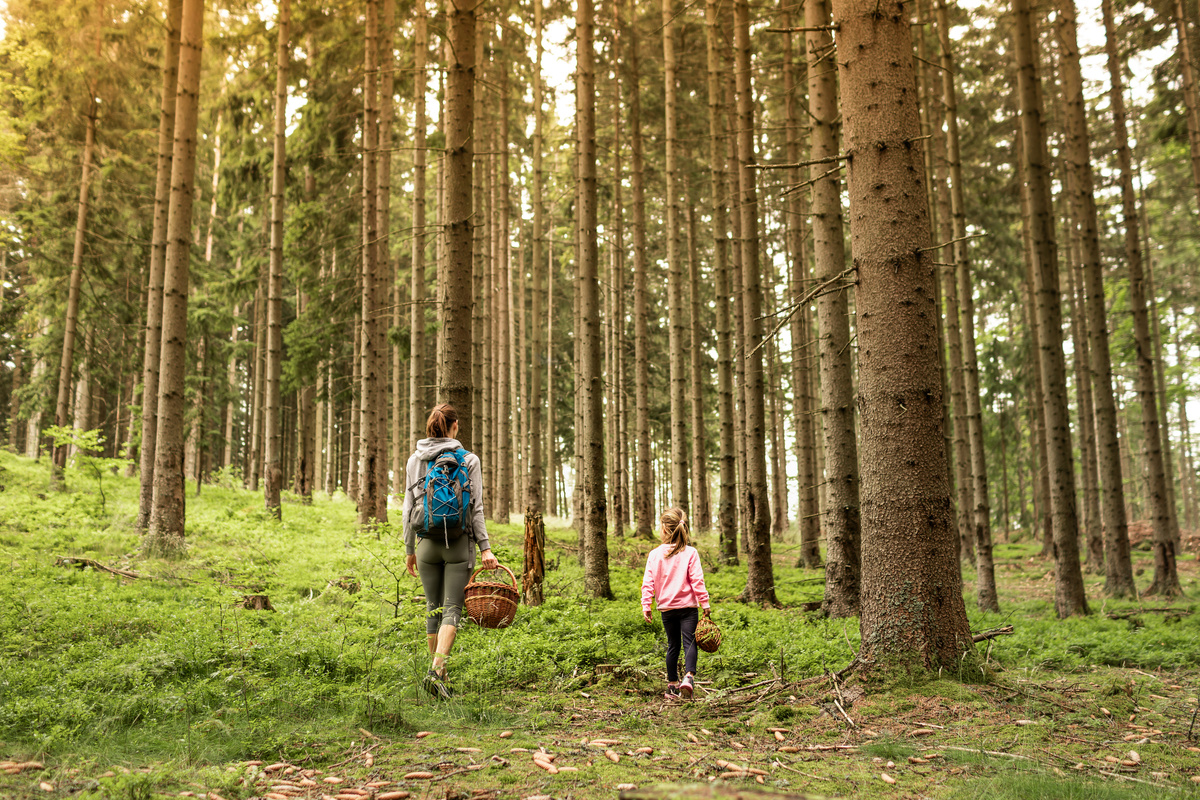 kieferpix/istock