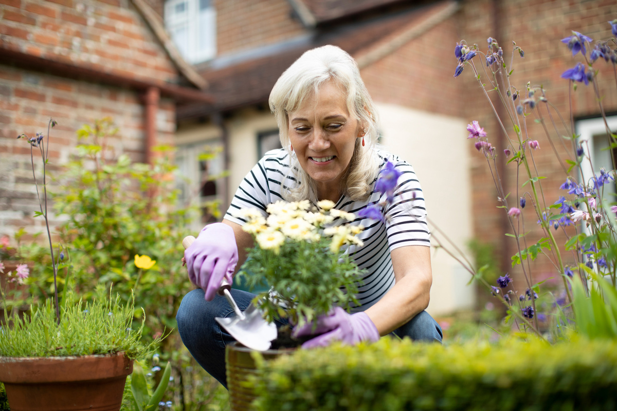 Daisy-Daisy/istock
