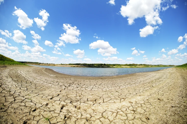 Старокрымское водохранилище - единственный источник водоснабжения города на данный момент. По словам работников водоканала, в самое ближайшее время в водохранилище  останется только ил. 