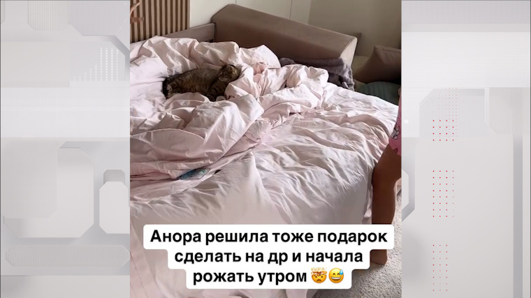    Фото: Instagram*/samoylovaoxana