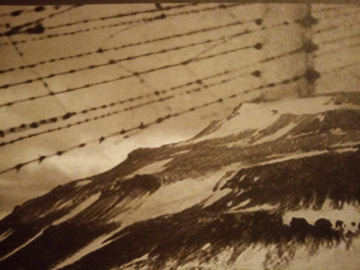 Фото взято из открытых источников.