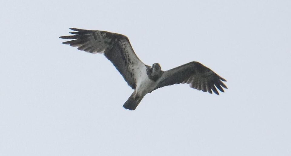    Sebastian Willnow/dpa / www.globallookpress.com