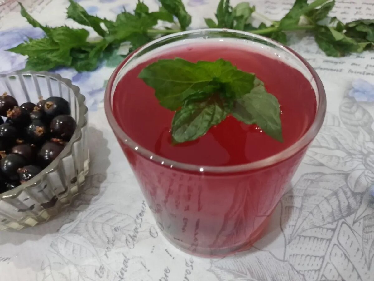 Морс из ревеня и черной смородины