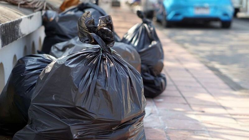    Фото: tawanroong / Shutterstock / Fotodom