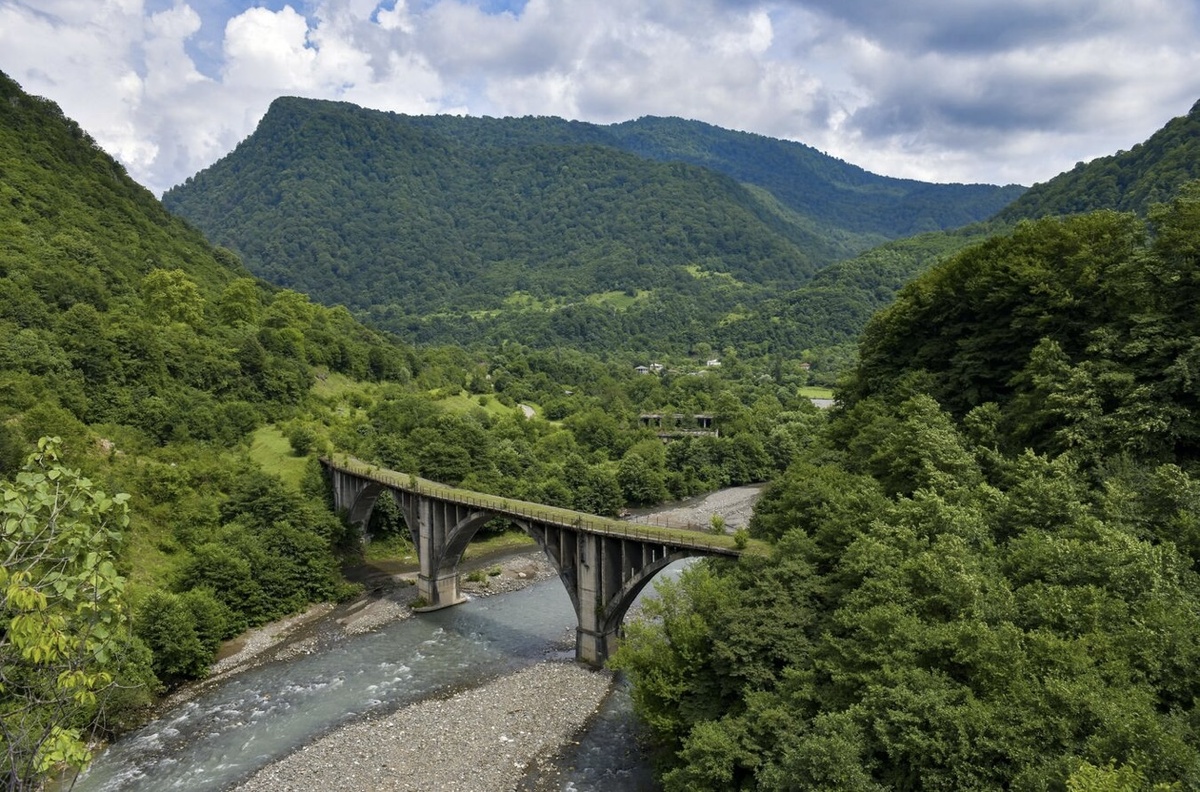Цветущие гортензии в Акармаре