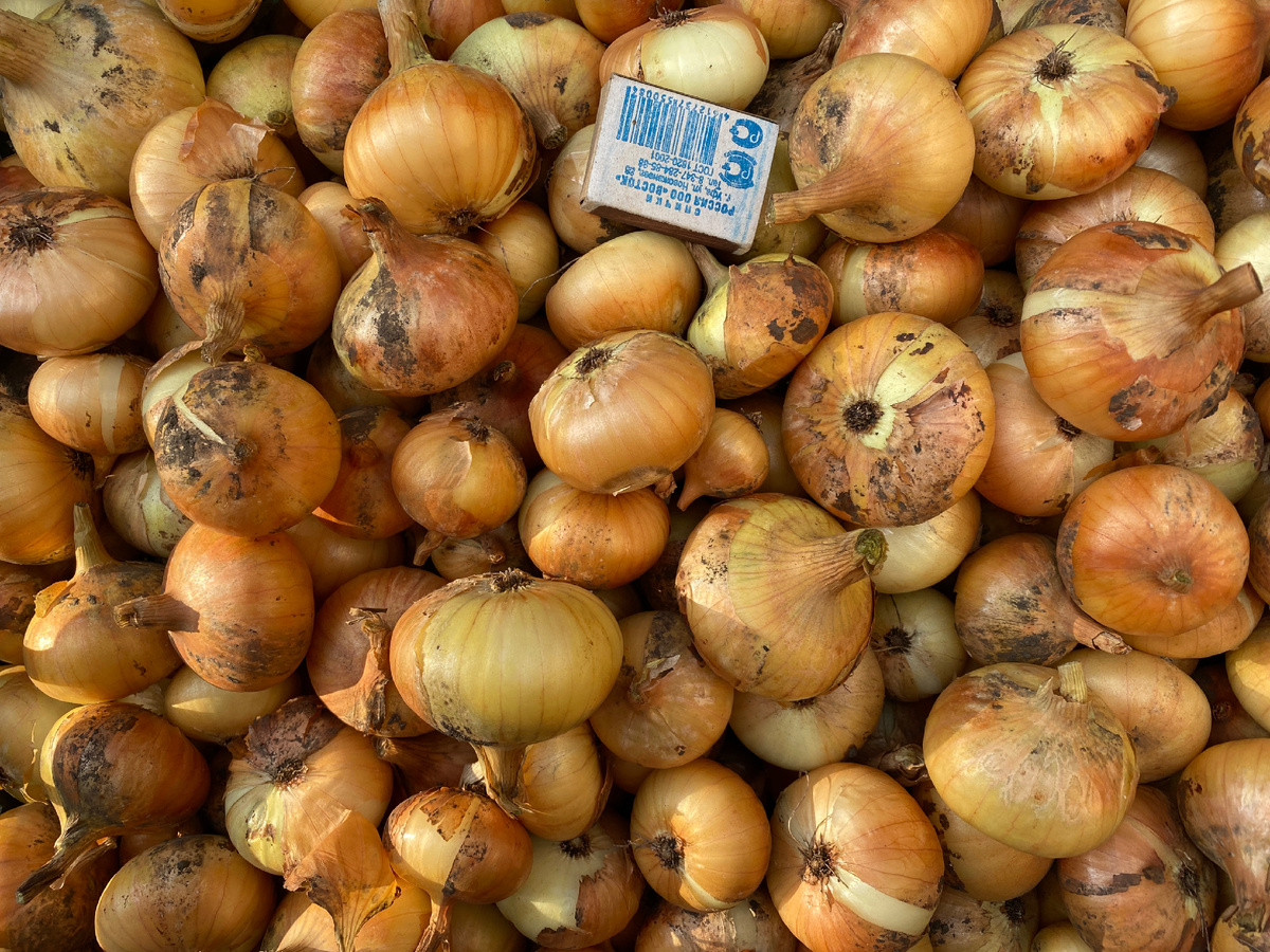 Середнячок