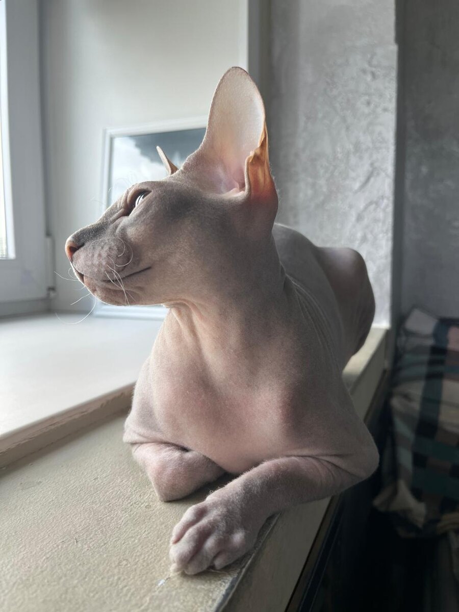 Какая красота