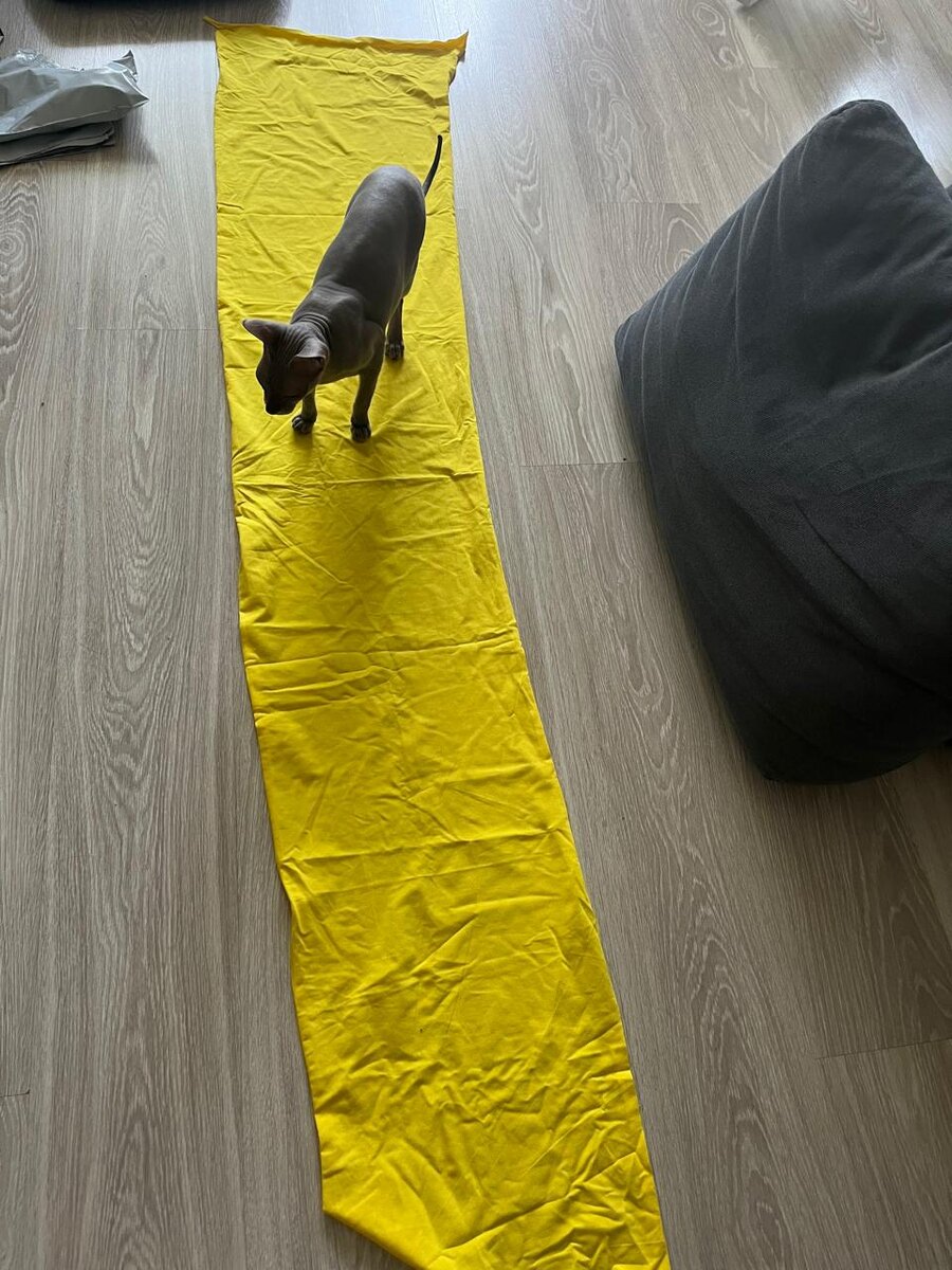 Почему дорожка желтая? Может специальная кошачья? Я по телевизору слышала, что дорожка красная. У мамы спрошу. 