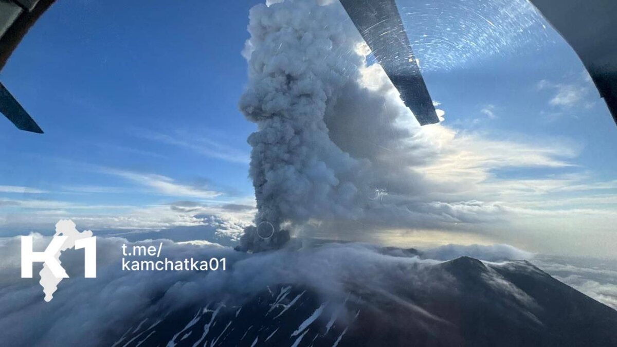 Фото: Шелдовицкий Артем Игоревич