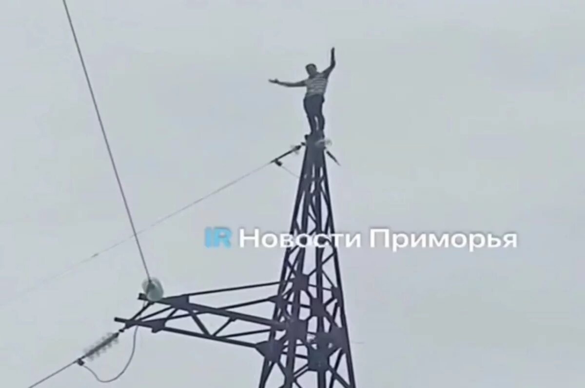    Забиравшегося на опоры ЛЭП «человека-паука» поймали и отправили на лечение