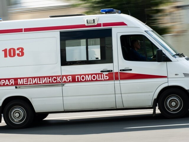    Фото: Москва 24/Игорь Иванко