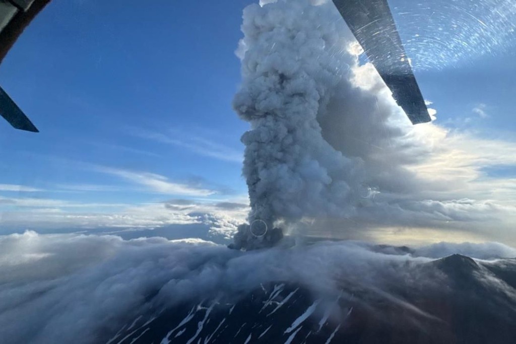    Фото © Telegram / ИВиС ДВО РАН