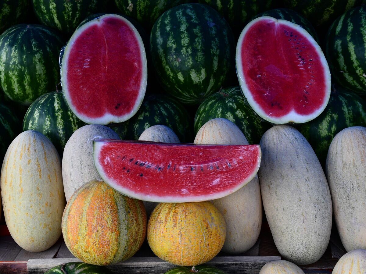    Арбузы© РИА Новости / Павел Лисицын