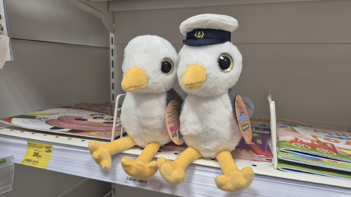 Чайки, которых я теперь хочу