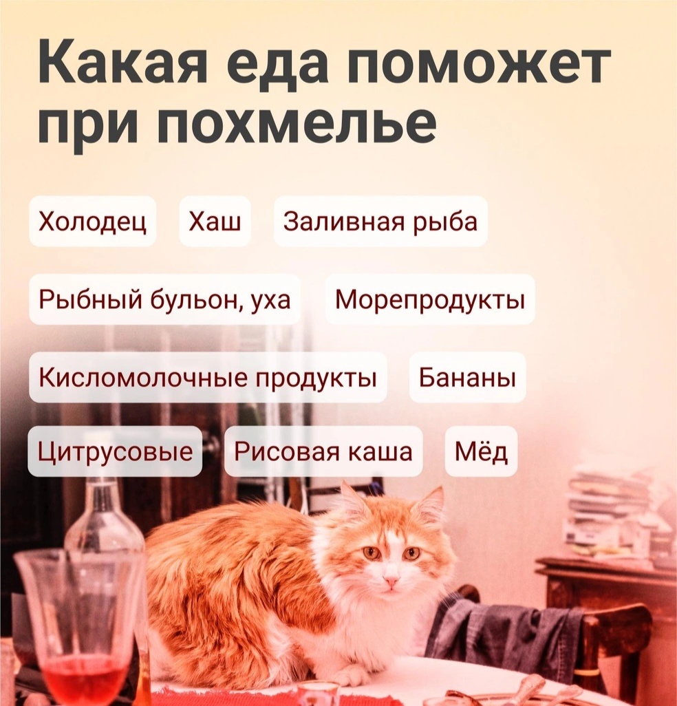 Правильное питание при похмелье