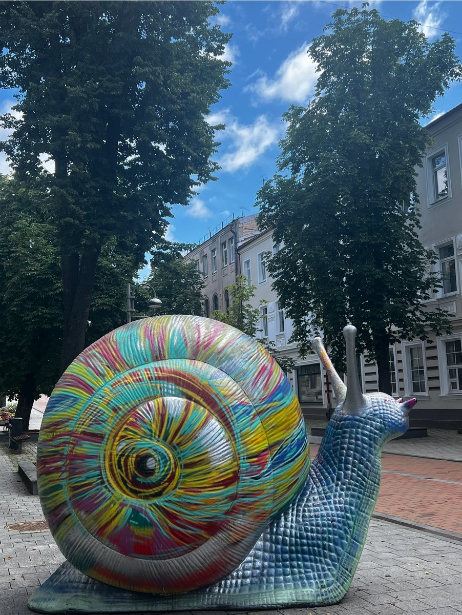 Преследование и улитка; ♦ Даугавпилс 🇱🇻 Улица Ригас. 1 августа 2025 ♦ https://www.facebook.com/groups/791643631038813/posts/2699701360233021/