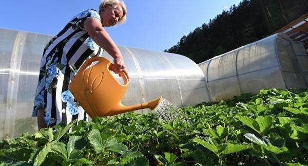    РИА «Новости»