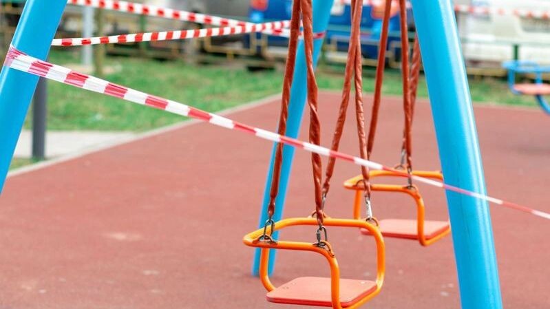    Фото: Galina_R / Shutterstock / Fotodom