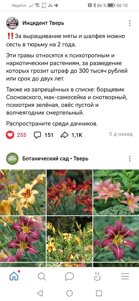 Скрин экрана. 