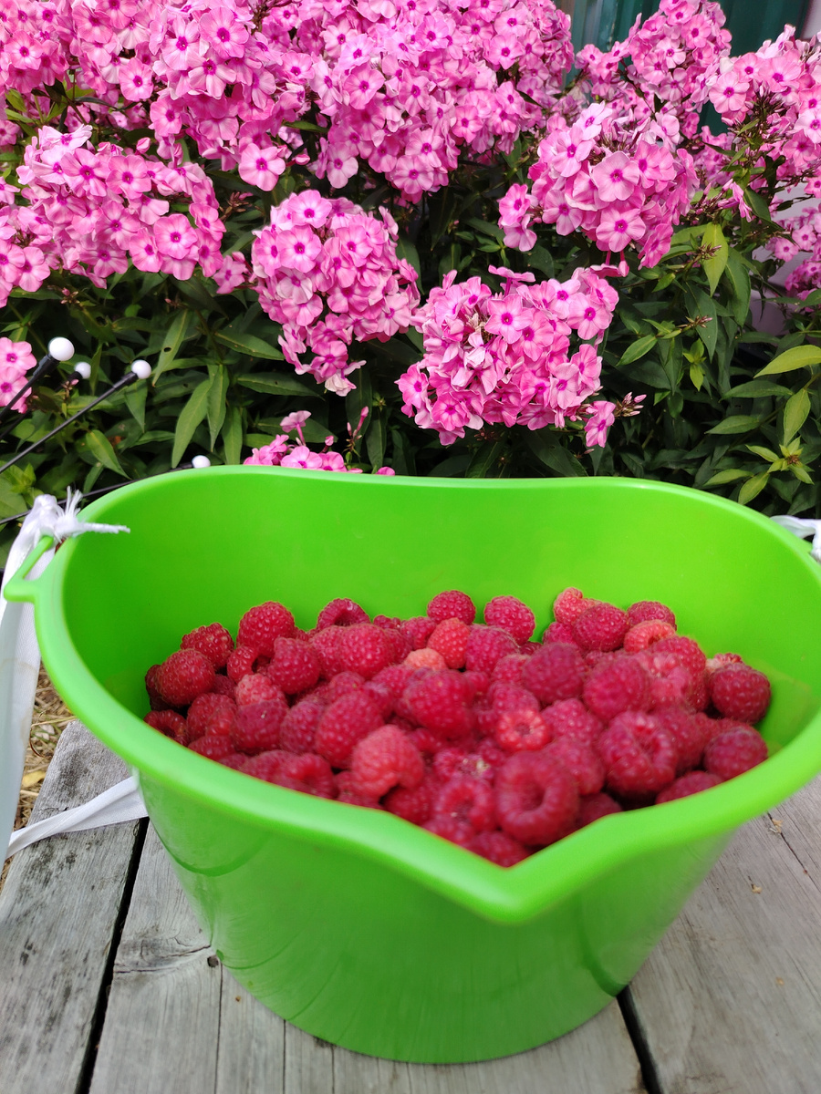 Краски лета.