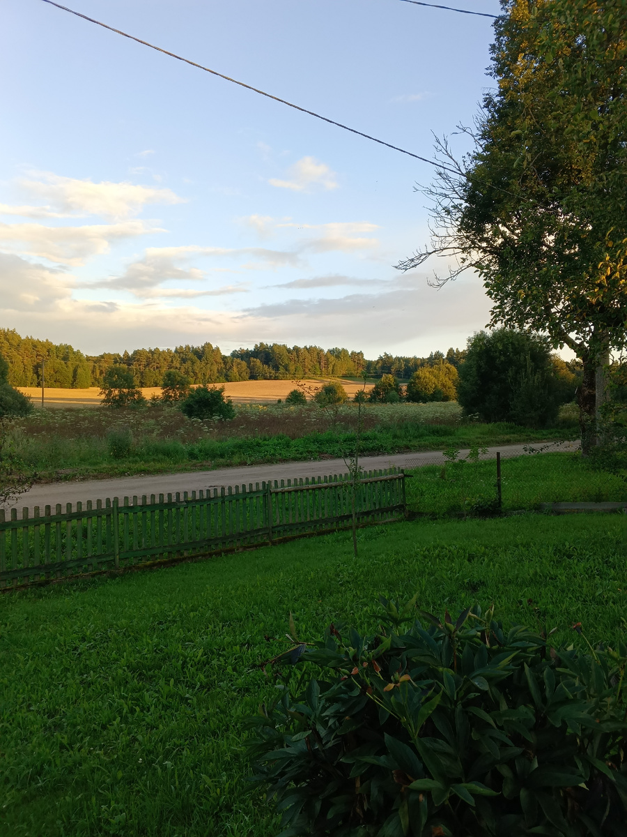 фото автора: здесь когда-то был пруд, мы в детстве купались, сейчас он зарос