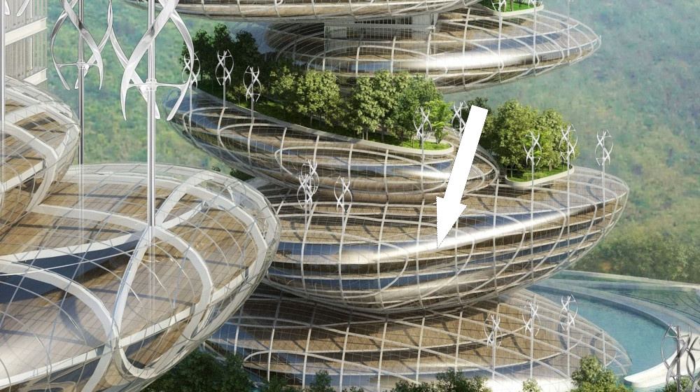    Деревья в небе Сочи