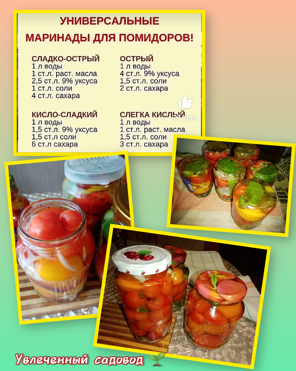 коллаж автора, фото автора