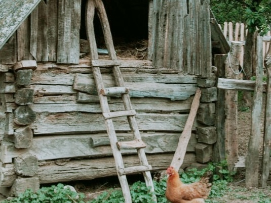 Яндекс картинки