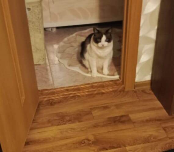 Фото автора