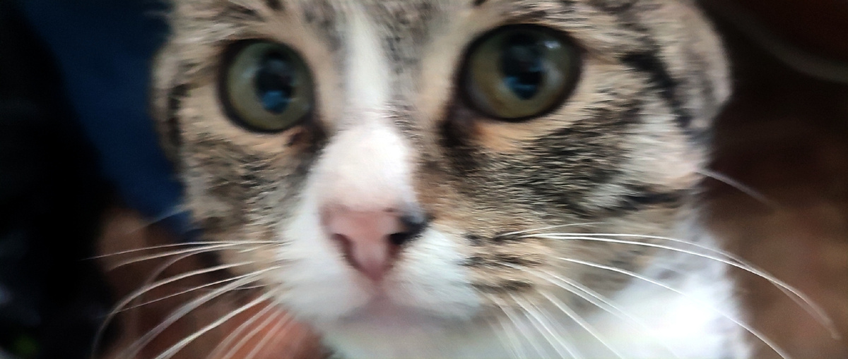 Надо отдать должное, у Артёма и вправду очень осмысленный взгляд. Особенно если внимательно посмотреть в его глаза. 