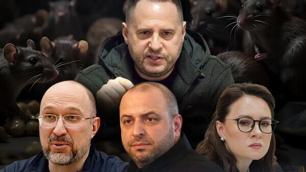    © Фото : коллаж Украина.Ру