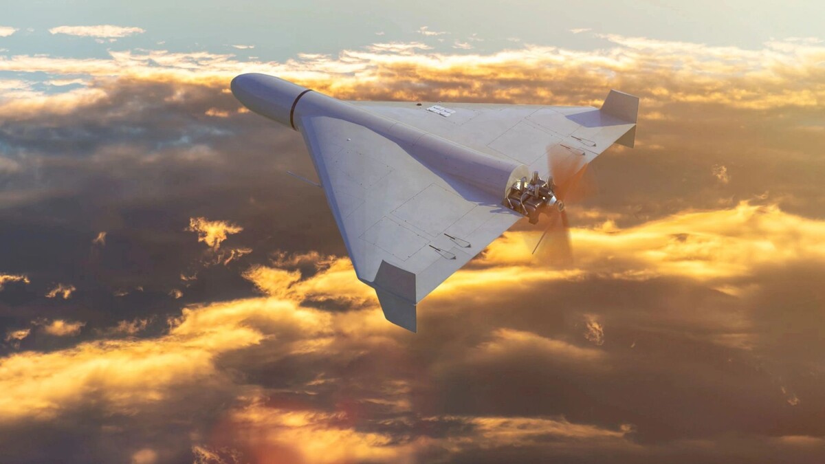    Фото: Anelo/Shutterstock/Fotodom