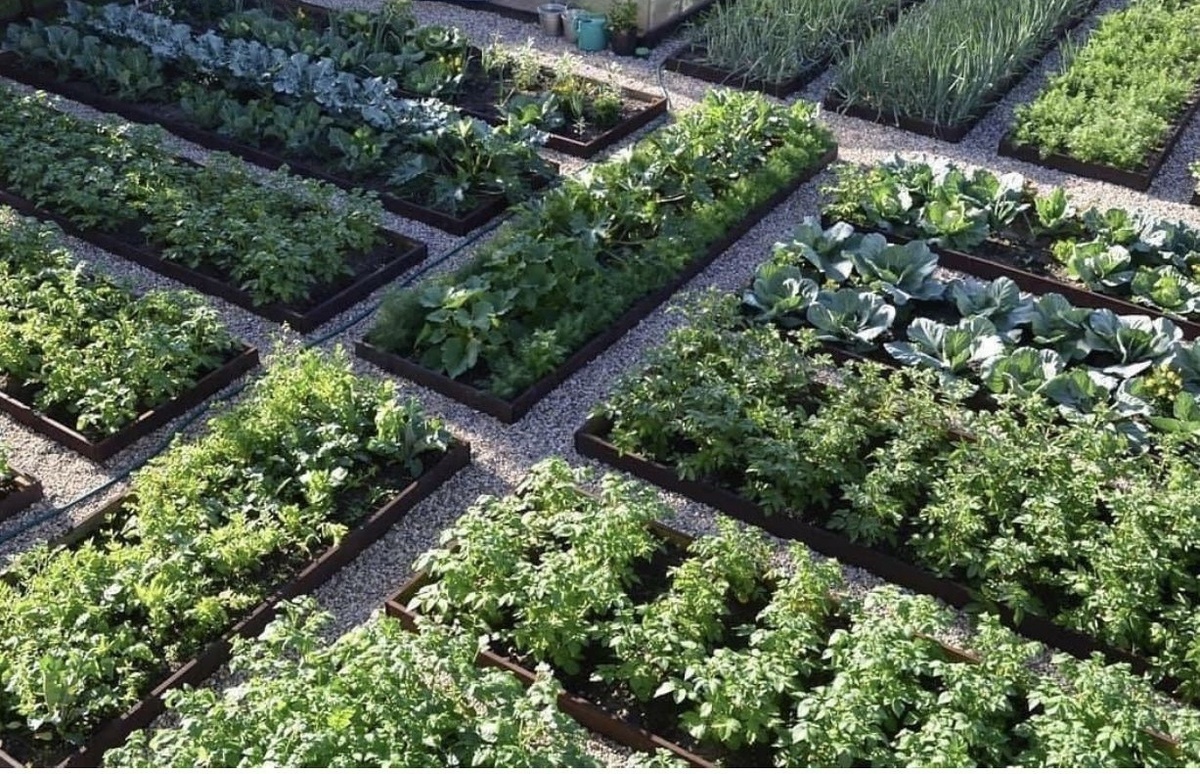 фото взято с яндекс картинки