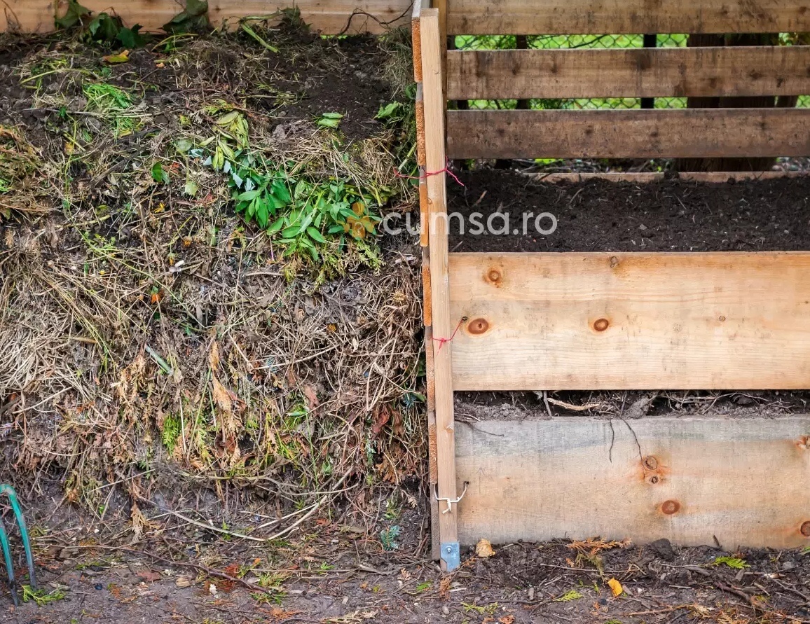 фото взято с яндекс картинки
