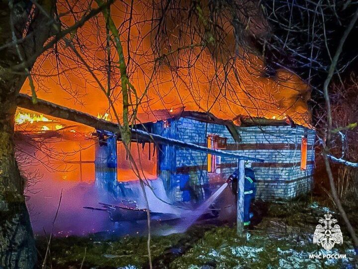    Фото: из архива МЧС