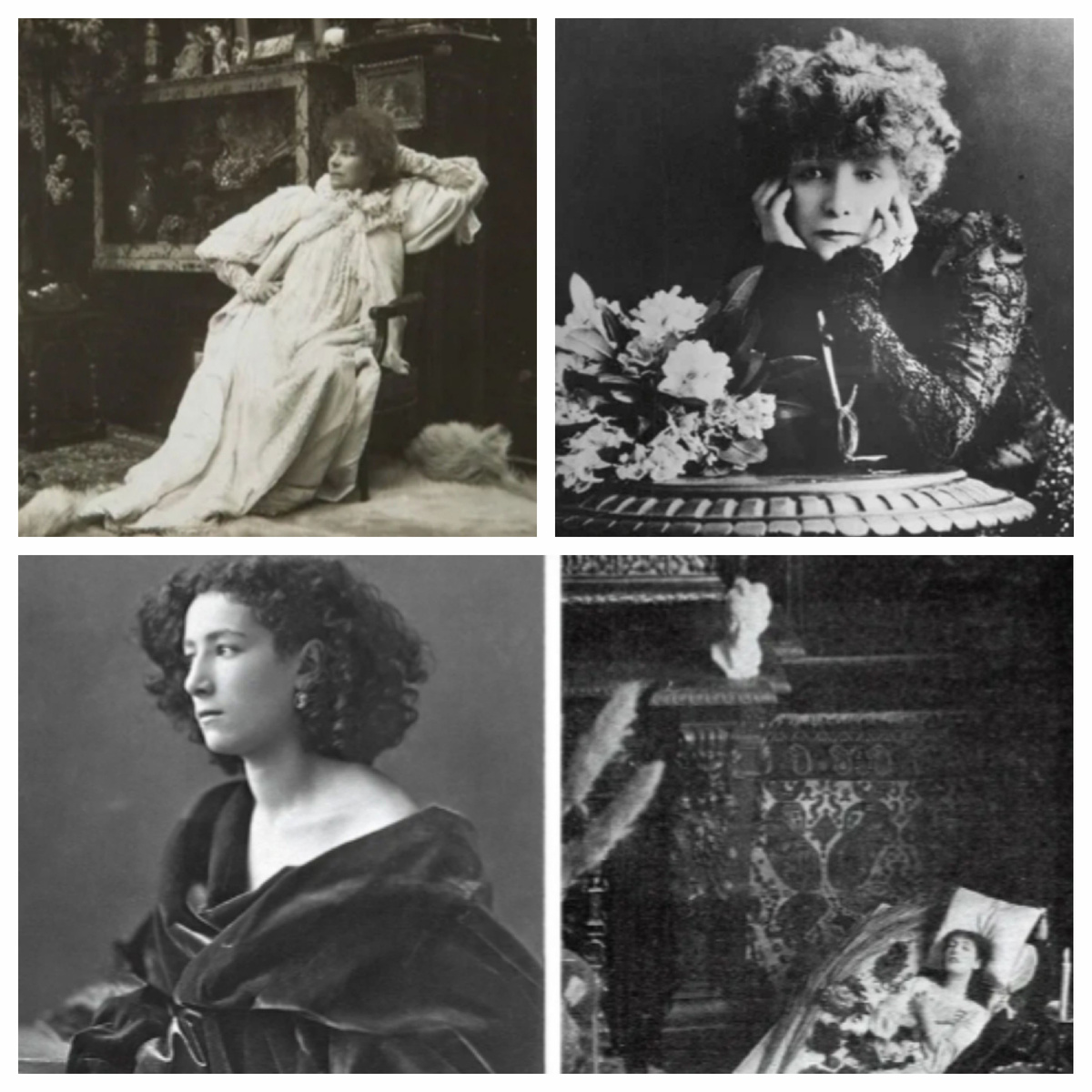 Все изображения - интернет.