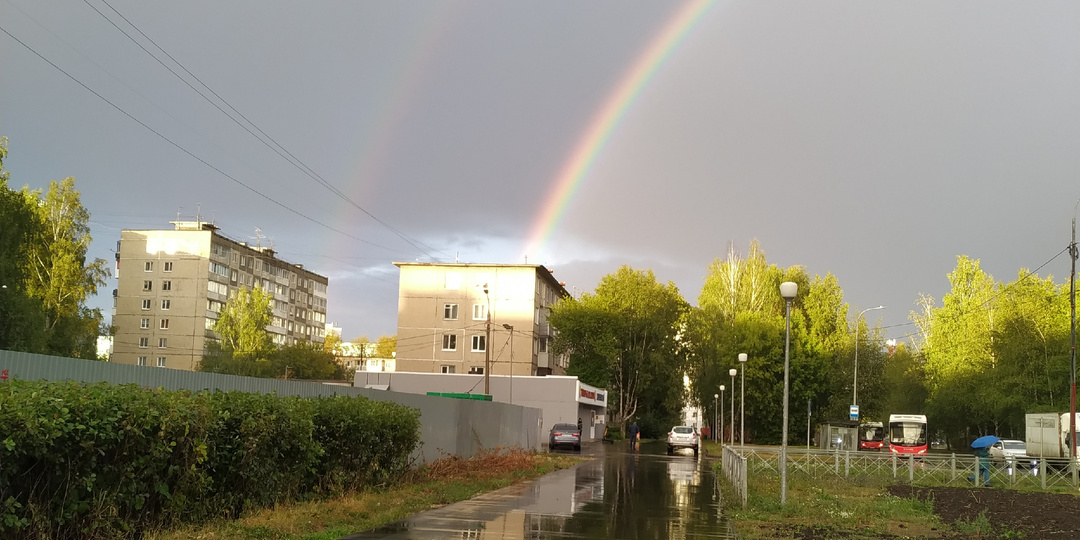 Ровно год на пути к мечте