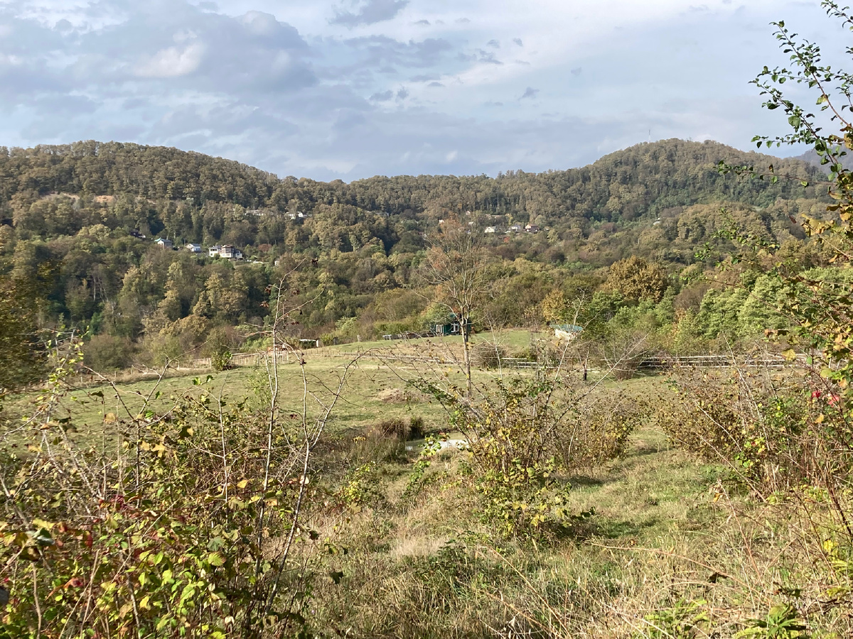 Долина реки Псахе.