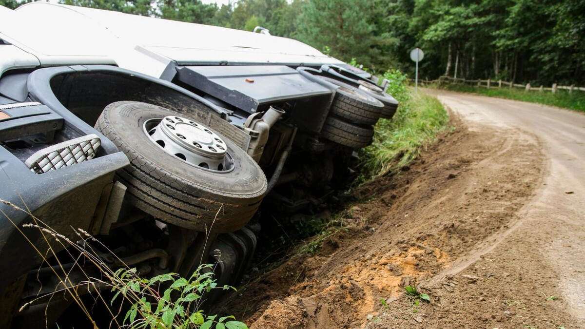    Фото: StockPhotosLV/Shutterstock/Fotodom