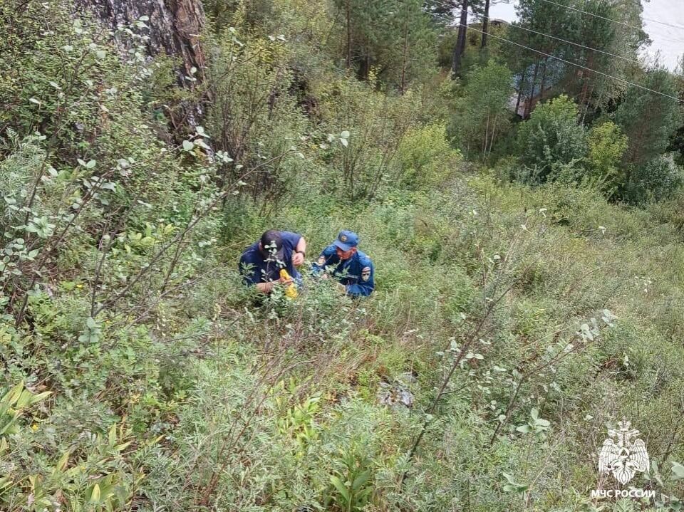    Барнаулец получил травму в Горном Алтае, спускаясь по "козьей тропе". Источник: ГУ МЧС по Республике Алтай