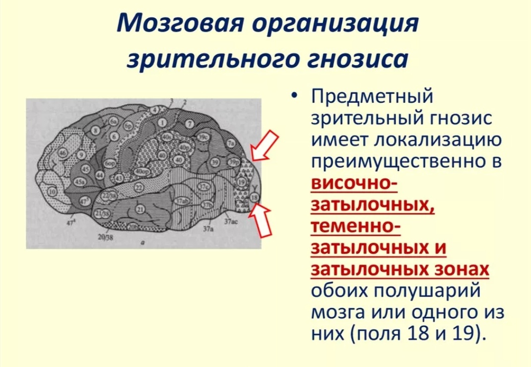 ✅Гнозис - это термин, используемый в философии и религии для обозначения знания или понимания истинной природы реальности.

📍 Он связан с идеей о том, что человек может достичь истинного понимания мира путем духовного развития и осознания своей истинной сущности. 

‼️В различных религиозных и философских традициях гнозис может быть связан с мистическими практиками, медитацией, йогой и другими формами духовной практики.

⚠️ В христианстве гнозис ассоциируется с понятием "духовного знания", которое может быть достигнуто через веру и молитву.

#МарияГамула#НейроМозг#образование#педагогика#логопедия#нейромозг#дети#родители#Образование#Учимсявместе#Развитиедетей#Раннееразвитие#Дошкольники#ШкольнииЛогопед#Логопедическиезанятия#Логопедическиймассаж#Логопедическаяпомощь