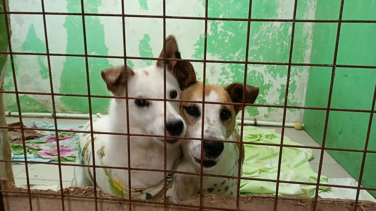 У девчонок из Калино до сих пор нет имен.