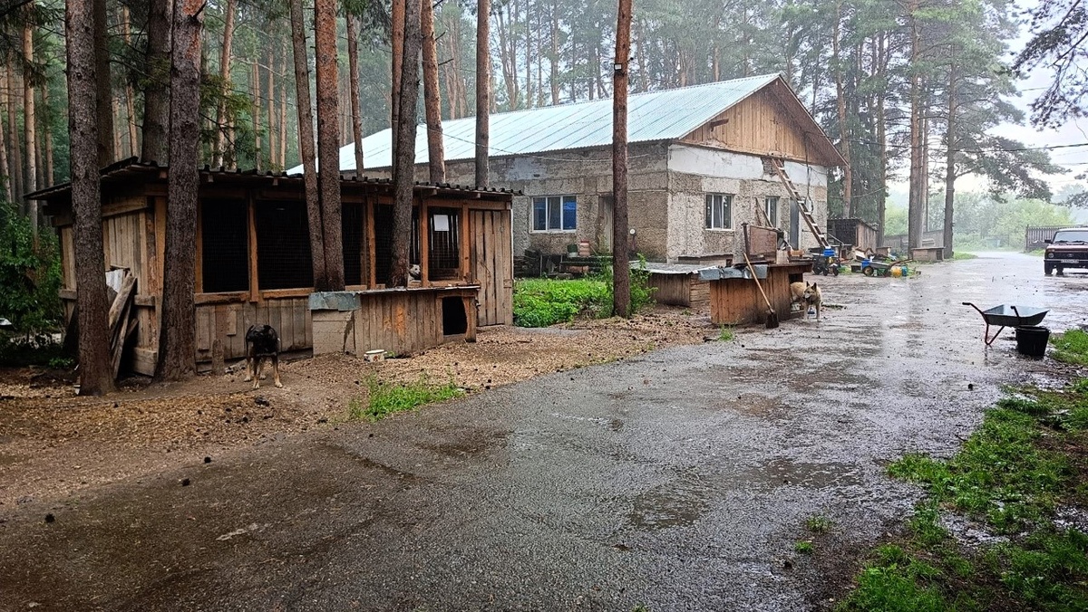 Прошел дождь, и дышится легко, жара немного спала!