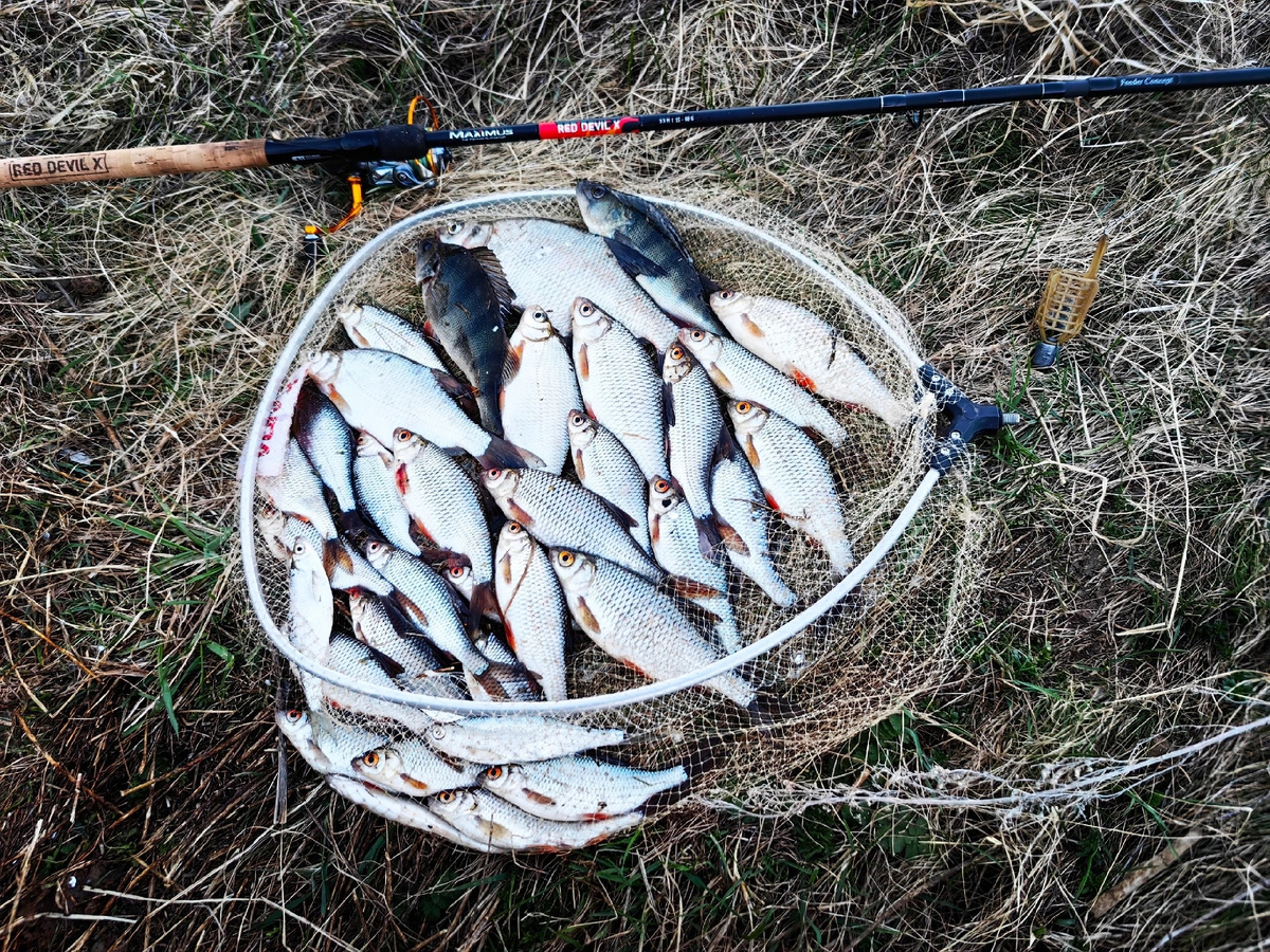 фото: Сергей Эгоист