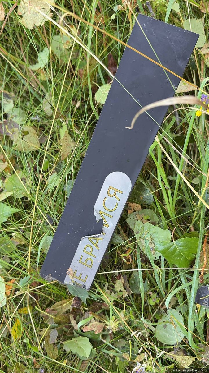 Фото из Telegram-канала губернатора Михаила Ведерникова