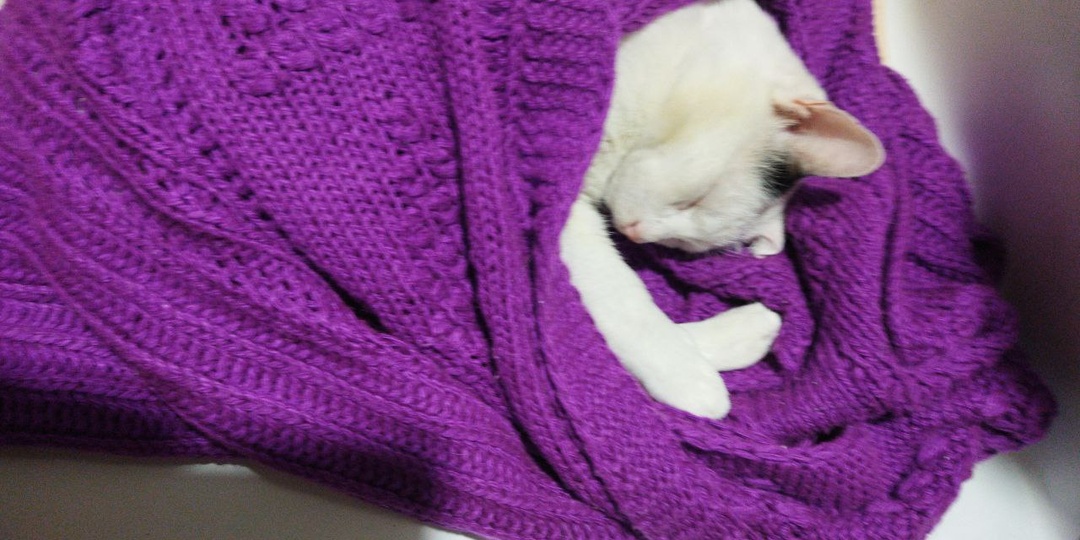 Заноза не в пальце. Заноза СССР.